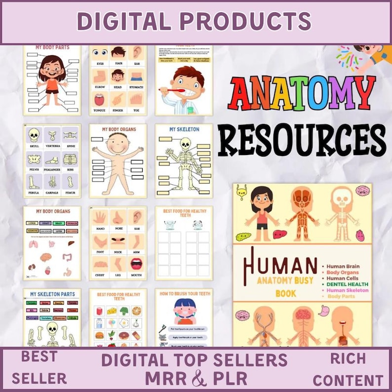 20,000+ Kids Learning Worksheets: Mega Bundle PLR MRR (Digital Download)